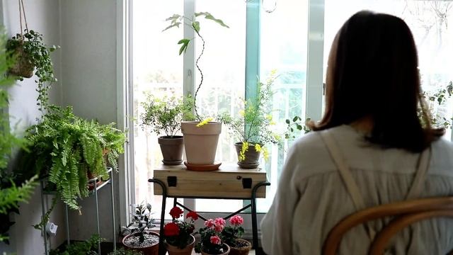 베란다 정원 시작을 위한 팁/ 식물 해충 관리 방법/ 우드 데크 청소 방법/Tips for Balcony Garden/ 친환경 살림 смотреть онлайн