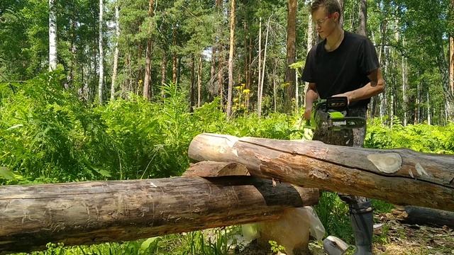 ПОДРОСТОК СТРОИТ СРУБ В ЧАЩЕ ЛЕСА | первый венец ЗАКОНЧЕН | СРУБ В ЧАШУ | ОДИН в ТАЙГЕ смотреть онлайн