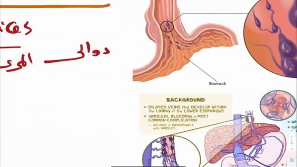 GIT Module Introduction
