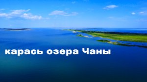 Сазан. Карась. Чаны.