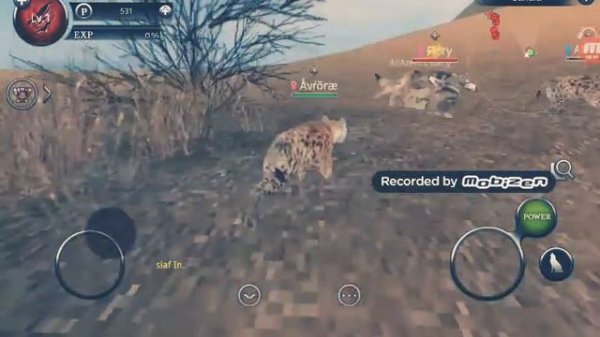 ГЕЙМПЛЕЙ СО МНОЙ! WILD ANIMALS ONLINE | GAME PLAY WITH ME! WILD ANIMALS ONLINE