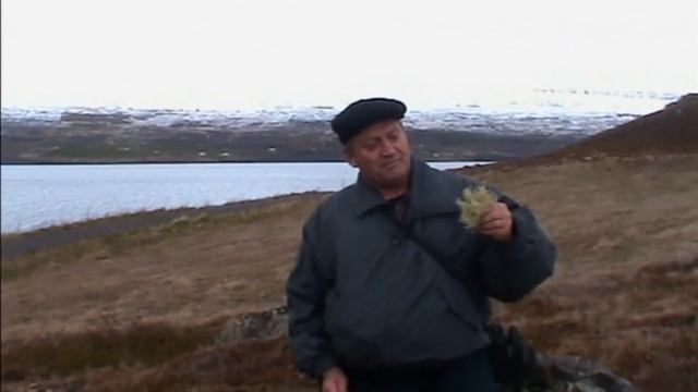 Полет на АН 12 под загрузку в Исландию,аэропорт Акурейри смотреть онлайн