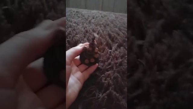 Русский бурдж халифа из пластилина! смотреть онлайн