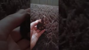 Русский бурдж халифа из пластилина!