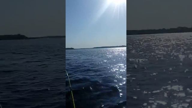 Лодочный мотор Сузуки 2,5 . смотреть онлайн