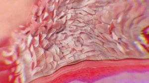 Узнайте, как лечат дерматозы сегодня