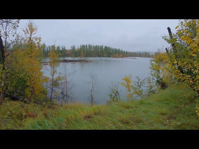 Талнах, 10.09.2023г. смотреть онлайн