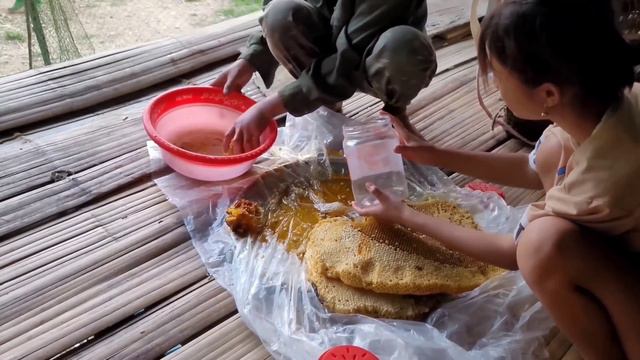 Video spraying 150 days of wild honey exploitation process in harmony with nature - ha thi muon смотреть онлайн