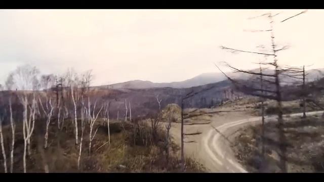 Подарок отцу смотреть онлайн