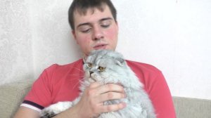 КАК РАЗГОВАРИВАЕТ КОТ КЕВИН И БИЛ?