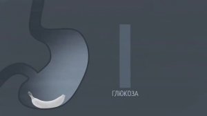 Зухра Павлова о том, как правильно питаться, чтобы быть здоровым.