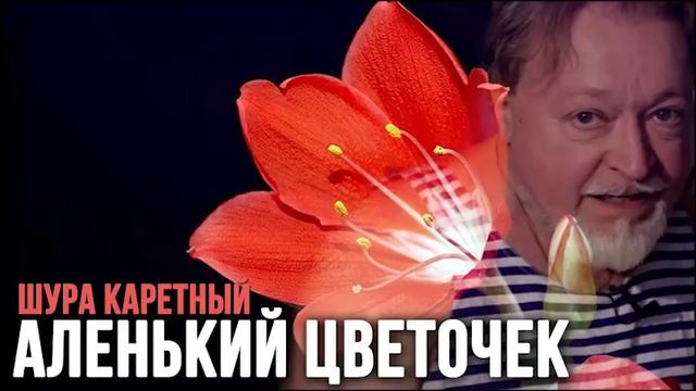 Шура Каретный - Аленький цветочек смотреть онлайн