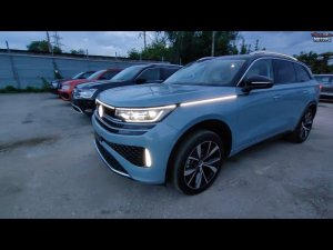 VW Tavendor - краткий обзор