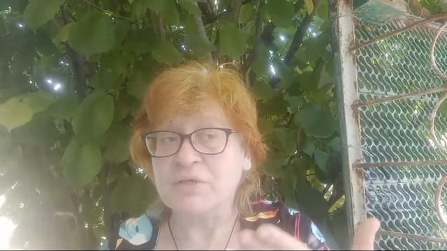 К чему привела методика устранения,Я ни о чем не сожалею смотреть онлайн