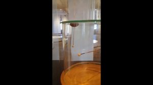 Как датский ученый Эрстед изучал закон Кулона при помощи крутильных весов.