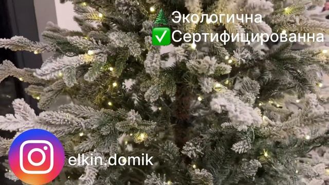 25 октября 2023 г. смотреть онлайн