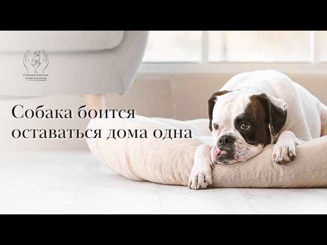 Тревога одиночества