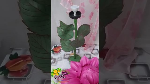 Ночник георгин смотреть онлайн