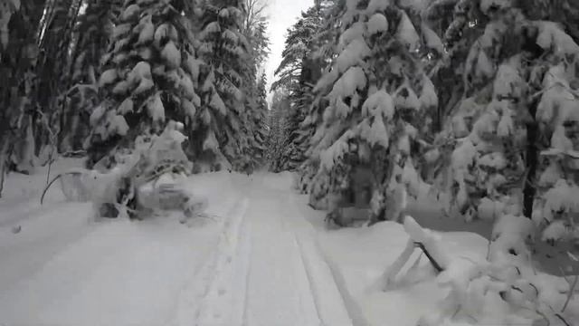 Усадьба молодильное. Хвойнинские затопы. Городно. смотреть онлайн