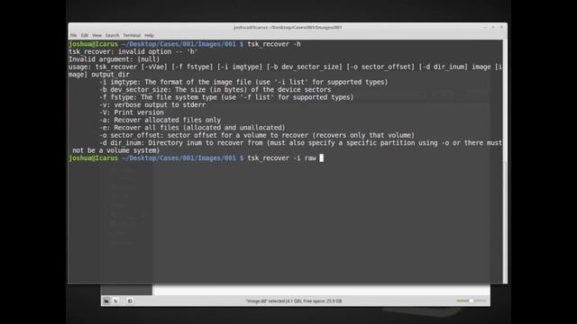 DFS101: 7.3 Data recovery with tsk_recover смотреть онлайн