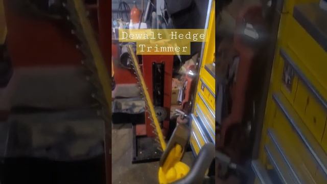 Dewalt Hedge Trimmer #tools #toolreviews #dewalt смотреть онлайн