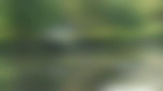 ФІЛЬМ про РИБАЛКУ в Денисівці. смотреть онлайн