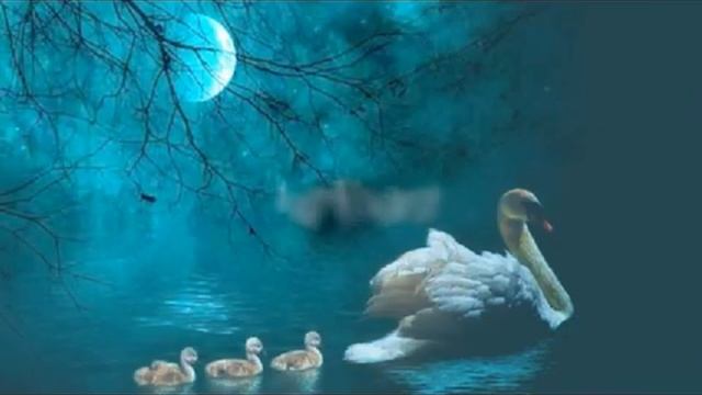 работа со светом и лучами смотреть онлайн