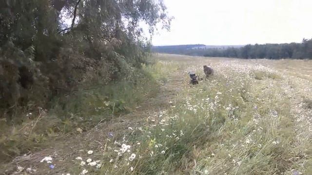 Сено начали косить,и немного про работу. смотреть онлайн