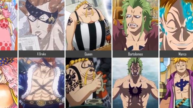 One Piece Characters Who Have Tattoo смотреть онлайн