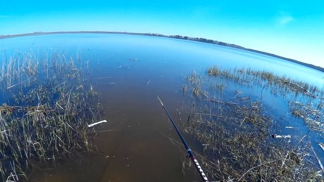 Рыбалка на карася в нерест - Нерест карась трется и плещется в траве смотреть онлайн