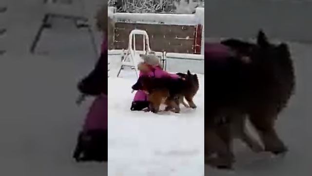 Настоящая-Вега Гром и зима!!!!!!!!!!!!!!!!!!!!!!!!!!!!!!!!!! смотреть онлайн