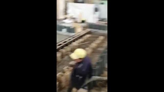 Sarežģītas formas daudz slāņu pamati / Многослойный фундамент, сложной формы смотреть онлайн