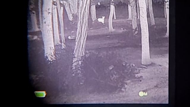 Das breiteste Sichtfeld - Infiray Xeye E3n (2021) Wärmebildhandgerät ? смотреть онлайн