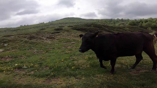 Поход в Стара Планина - х. Тъжа - вр. Марагидик - Голям Кадемлия - х. Триглав смотреть онлайн