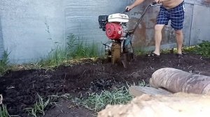 Культиватор КУМИР с китайским двигателем в работе