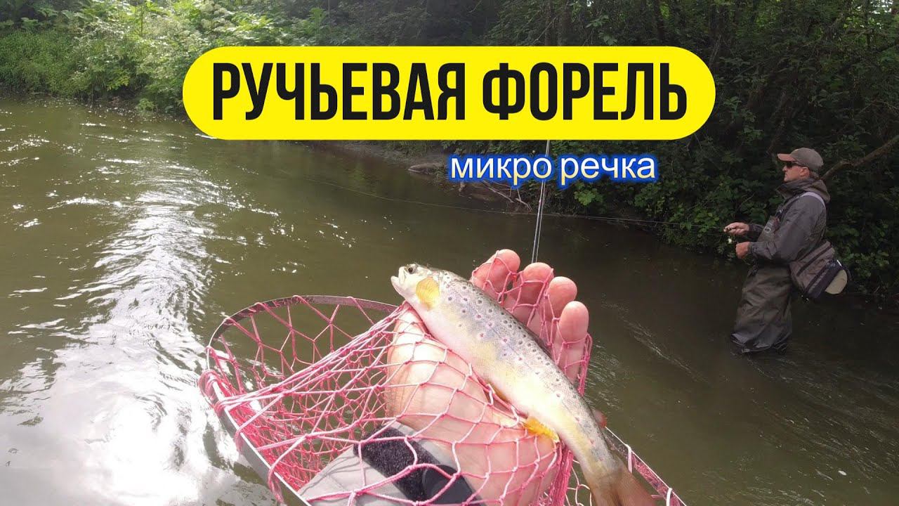 | Микро речка | В поисках ручьевой форели | смотреть онлайн