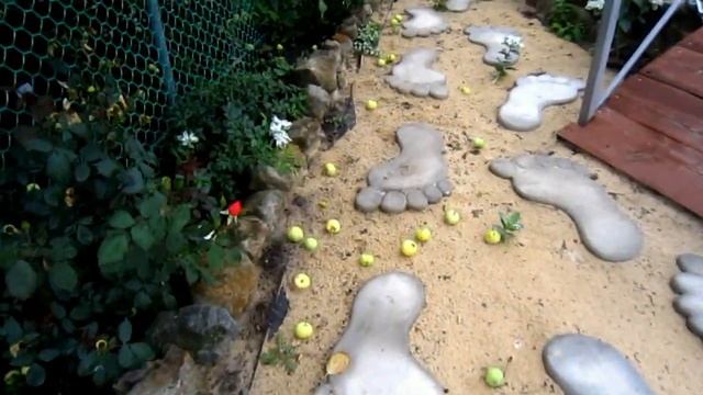 Заготовки на зиму#Перерабатываю молоко#Краткий обзор огорода смотреть онлайн