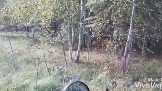 По лесным тропкам на питбайках,коп по старине. смотреть онлайн