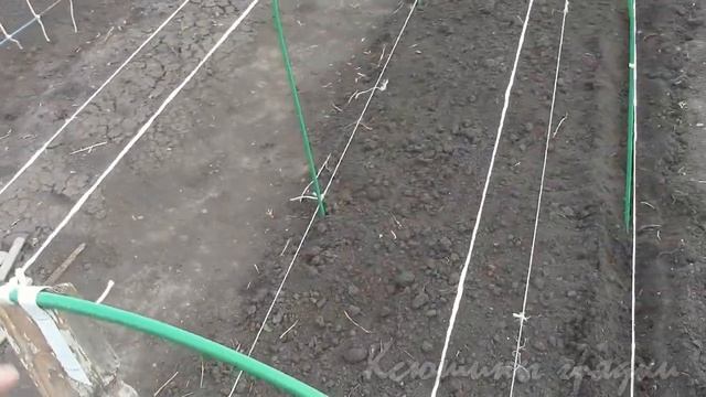 О ШПАЛЕРАХ И ПАРНИКАХ 2 смотреть онлайн