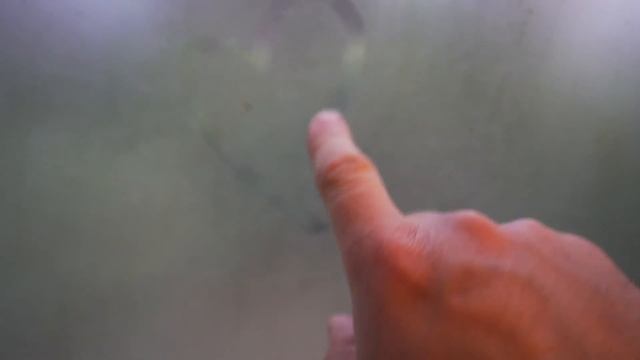 KARAVAN YAŞAMININ SUNDUKLARI смотреть онлайн