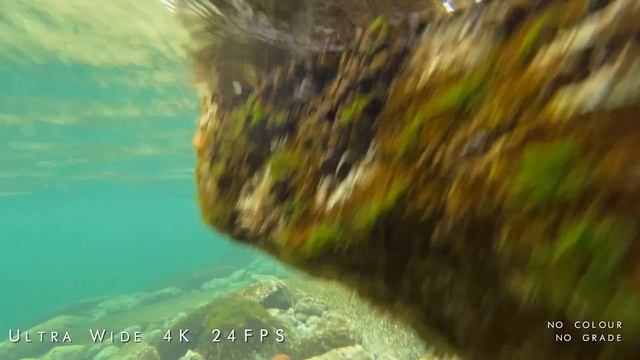 IPhone 12 Pro Camera Test | Cinematic Video & Fire Photos