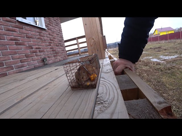 168. Скучное видео смотреть онлайн