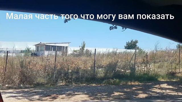 Последствия пожара. Август 2021. Афины. Греция смотреть онлайн