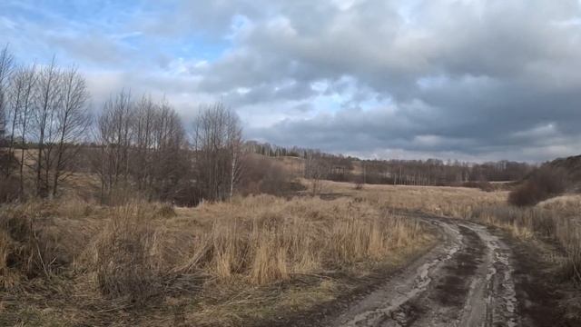 Сбор Айвы 15 11 2023. Купание в холодном озере . Закаливание . смотреть онлайн