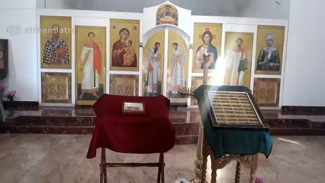 Акафист Пресвятой Богородице пред иконой «Целительница» 17.06.2020 смотреть онлайн