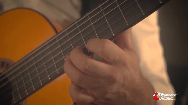 Гитарное шоу фламенко. Remake - I Love You Much Too Much, Santana. смотреть онлайн