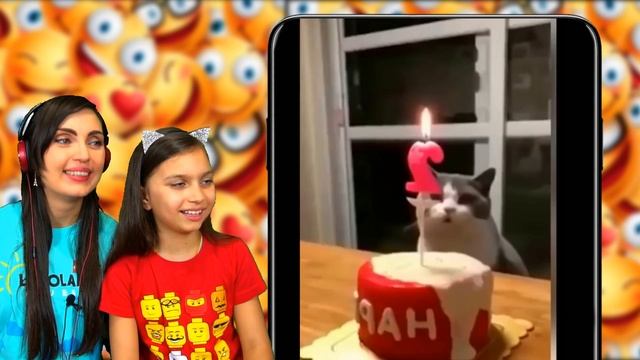 НЕ ЗАСМЕЙСЯ ЧЕЛЛЕНДЖ с КОТАМИ! #3 и Мамой СМЕШНОЙ РОЗЫГРЫШ КОТ МАЛЫШ и ШКОЛА ПРИКОЛЫ Валеришка смотреть онлайн