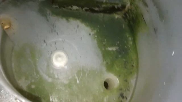 Нужно ли обслуживать кулер для воды? Профилактика кулера для воды смотреть онлайн