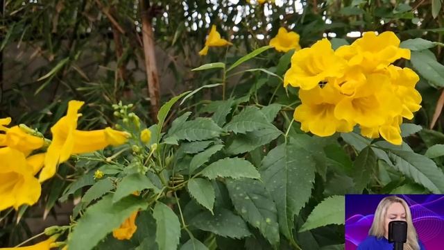 Жена отвезла мужа в глухомань лесную. Но когда, через неделю ночью, раздался стук в дверь... смотреть онлайн