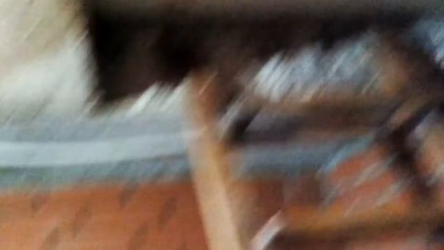 Лестница в подвал(1) смотреть онлайн